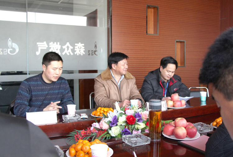 林口县政府与乐动平台app官网-乐动(中国)燃气项目洽谈.png